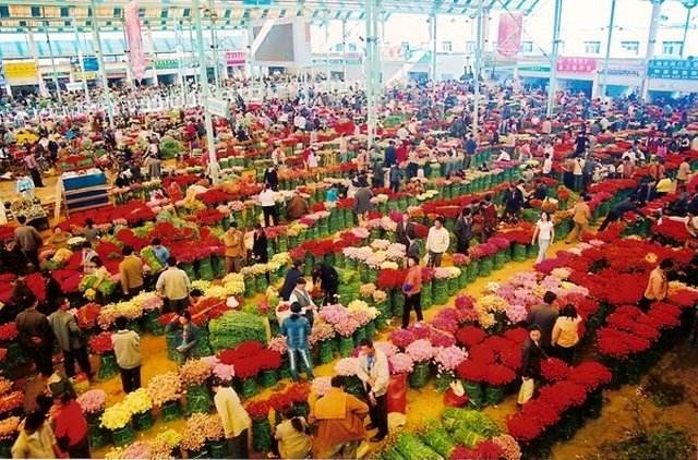 母亲节鲜花如何选择 鲜花有哪些品牌